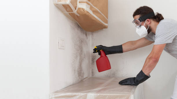 Professional Mold Testing technician working in Selden, NY