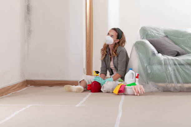 Reliable Mold Testing contractor in Selden, NY by WQB Mold Removal